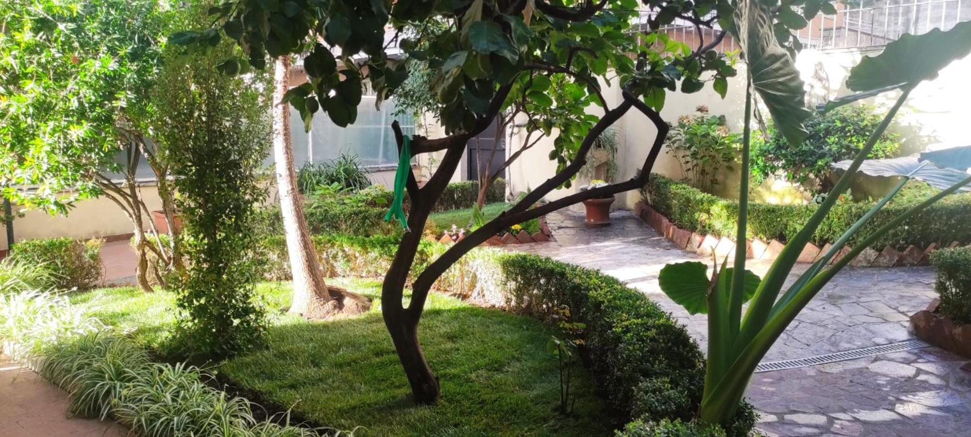 Villa Angeli Rzym Zewnętrze zdjęcie